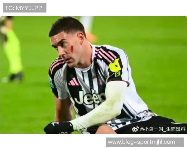 拜仁计划明夏免签弗拉霍维奇球员对转会表示浓厚兴趣